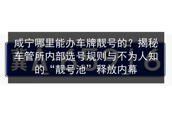 咸宁哪里能办车牌靓号的?揭秘车管所内部选号规则与不为人知的“靓号池”释放内幕 第2张 咸宁哪里能办车牌靓号的?揭秘车管所内部选号规则与不为人知的“靓号池”释放内幕 第2张