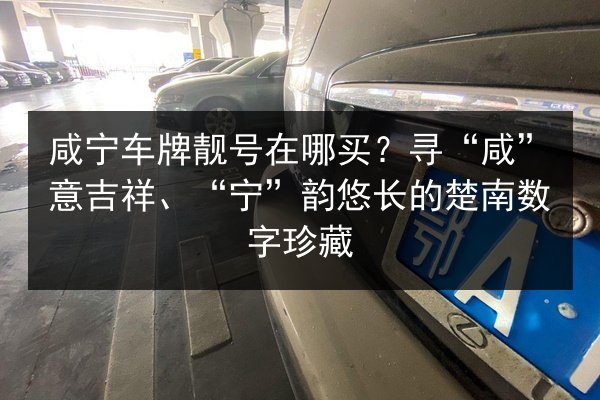 咸宁车牌靓号在哪买？寻“咸”意吉祥、“宁”韵悠长的楚南数字珍藏 第2张