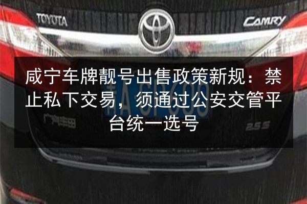 咸宁车牌靓号出售政策新规：禁止私下交易，须通过公安交管平台统一选号 第3张