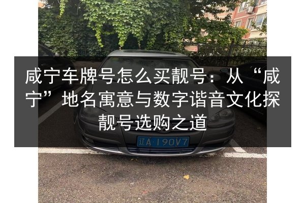 咸宁车牌号怎么买靓号:从“咸宁”地名寓意与数字谐音文化探靓号选购之道 第2张 咸宁车牌号怎么买靓号:从“咸宁”地名寓意与数字谐音文化探靓号选购之道 第2张