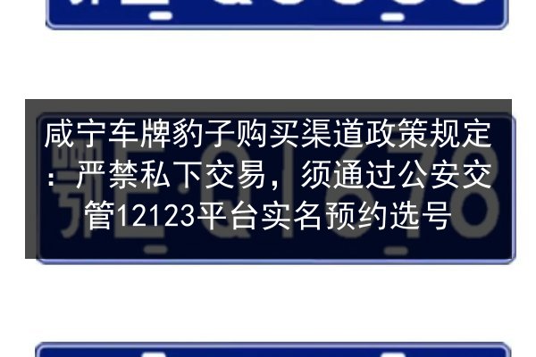 咸宁车牌豹子购买渠道政策规定：严禁私下交易，须通过公安交管12123平台实名预约选号 第2张