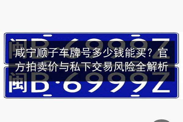 咸宁顺子车牌号多少钱能买?官方拍卖价与私下交易风险全解析 第2张 咸宁顺子车牌号多少钱能买?官方拍卖价与私下交易风险全解析 第2张