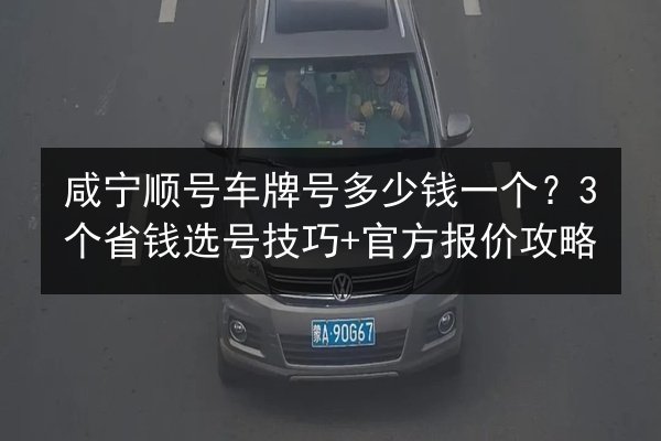 咸宁顺号车牌号多少钱一个？3个省钱选号技巧+官方报价攻略 第2张