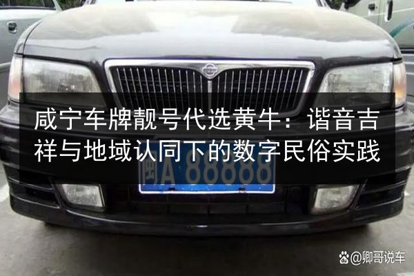 咸宁车牌靓号代选黄牛:谐音吉祥与地域认同下的数字民俗实践 第2张 咸宁车牌靓号代选黄牛:谐音吉祥与地域认同下的数字民俗实践 第2张