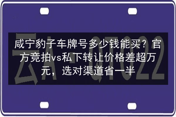 咸宁豹子车牌号多少钱能买?官方竞拍vs私下转让价格差超万元,选对渠道省一半 第3张 咸宁豹子车牌号多少钱能买?官方竞拍vs私下转让价格差超万元,选对渠道省一半 第3张