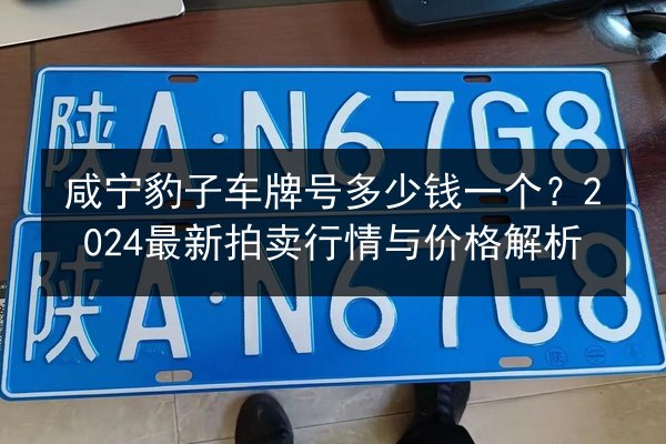 咸宁豹子车牌号多少钱一个？2024最新拍卖行情与价格解析 第3张