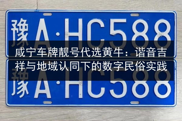 咸宁车牌靓号代选黄牛:谐音吉祥与地域认同下的数字民俗实践 第3张 咸宁车牌靓号代选黄牛:谐音吉祥与地域认同下的数字民俗实践 第3张