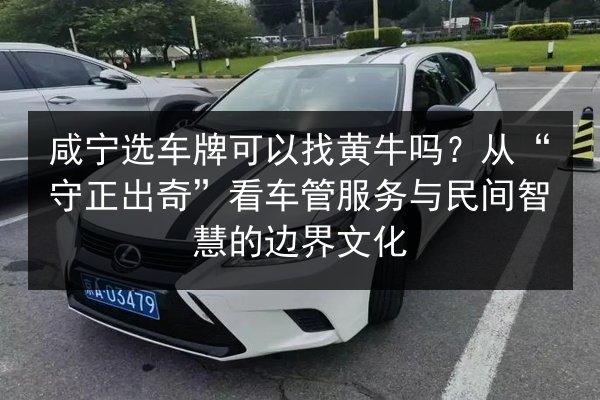 咸宁选车牌可以找黄牛吗?从“守正出奇”看车管服务与民间智慧的边界文化 第2张 咸宁选车牌可以找黄牛吗?从“守正出奇”看车管服务与民间智慧的边界文化 第2张