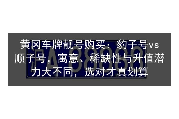 黄冈车牌靓号购买：豹子号vs顺子号，寓意、稀缺性与升值潜力大不同，选对才真划算 第2张
