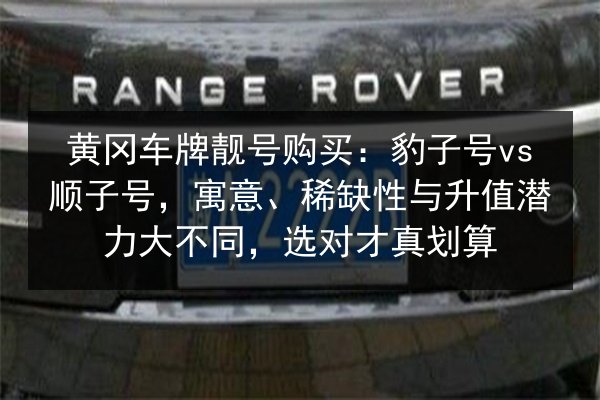 黄冈车牌靓号购买：豹子号vs顺子号，寓意、稀缺性与升值潜力大不同，选对才真划算 第3张