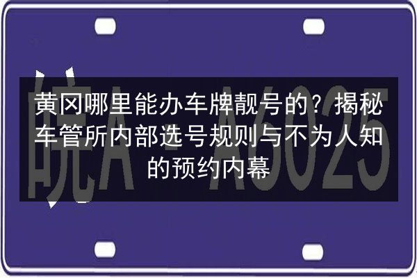 黄冈哪里能办车牌靓号的?揭秘车管所内部选号规则与不为人知的预约内幕 第3张 黄冈哪里能办车牌靓号的?揭秘车管所内部选号规则与不为人知的预约内幕 第3张