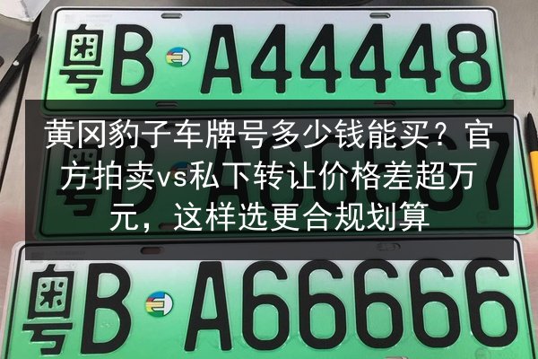 黄冈豹子车牌号多少钱能买？官方拍卖vs私下转让价格差超万元，这样选更合规划算 第2张