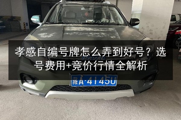 孝感自编号牌怎么弄到好号?选号费用+竞价行情全解析 第2张 孝感自编号牌怎么弄到好号?选号费用+竞价行情全解析 第2张