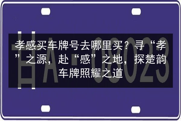 孝感买车牌号去哪里买?寻“孝”之源,赴“感”之地,探楚韵车牌照耀之道 第2张 孝感买车牌号去哪里买?寻“孝”之源,赴“感”之地,探楚韵车牌照耀之道 第2张