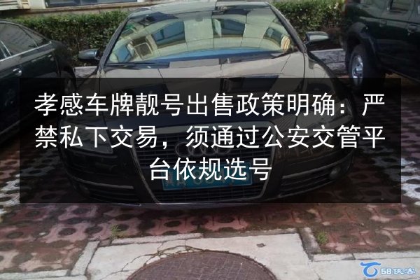 孝感车牌靓号出售政策明确：严禁私下交易，须通过公安交管平台依规选号 第2张