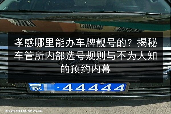 孝感哪里能办车牌靓号的？揭秘车管所内部选号规则与不为人知的预约内幕 第2张