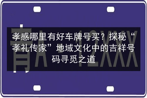 孝感哪里有好车牌号买？探秘“孝礼传家”地域文化中的吉祥号码寻觅之道 第2张