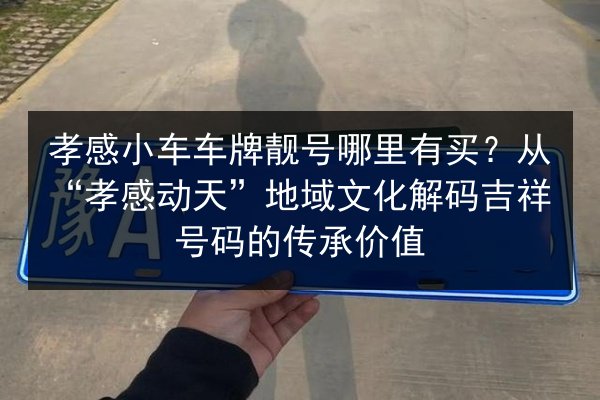 孝感小车车牌靓号哪里有买？从“孝感动天”地域文化解码吉祥号码的传承价值 第3张