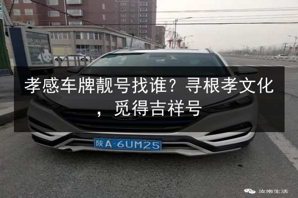 孝感车牌靓号找谁？寻根孝文化，觅得吉祥号 第2张