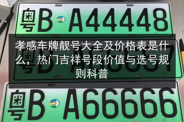 孝感车牌靓号大全及价格表是什么，热门吉祥号段价值与选号规则科普 第2张