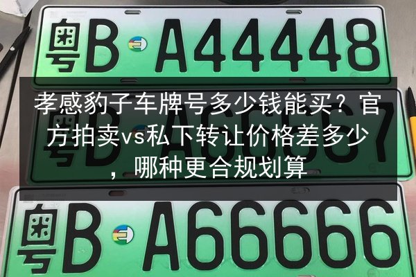 孝感豹子车牌号多少钱能买?官方拍卖vs私下转让价格差多少,哪种更合规划算 第2张 孝感豹子车牌号多少钱能买?官方拍卖vs私下转让价格差多少,哪种更合规划算 第2张