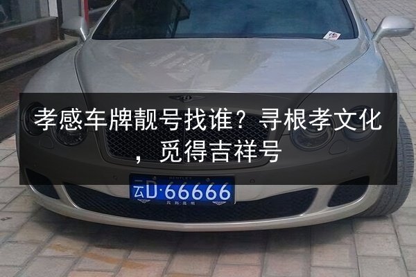 孝感车牌靓号找谁？寻根孝文化，觅得吉祥号 第3张