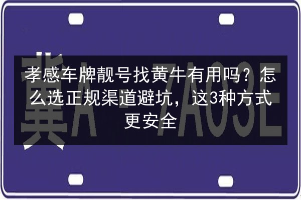 孝感车牌靓号找黄牛有用吗？怎么选正规渠道避坑，这3种方式更安全 第3张