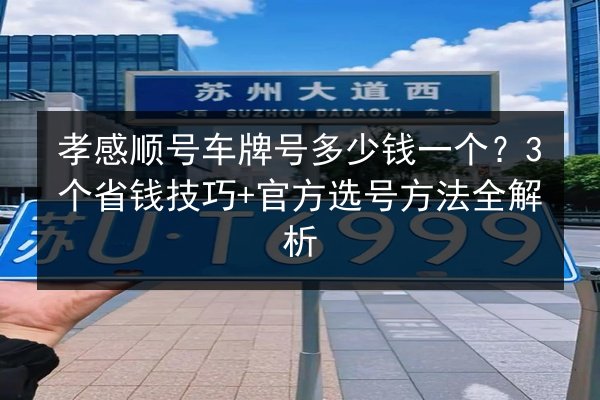 孝感顺号车牌号多少钱一个？3个省钱技巧+官方选号方法全解析 第2张