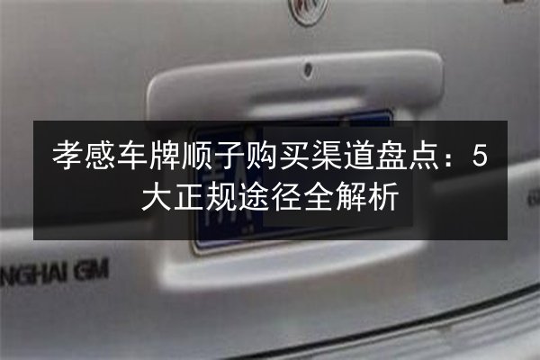 孝感车牌顺子购买渠道盘点:5大正规途径全解析 第2张 孝感车牌顺子购买渠道盘点:5大正规途径全解析 第2张