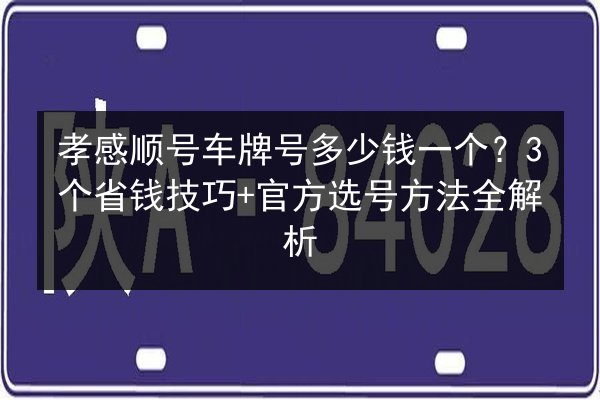 孝感顺号车牌号多少钱一个？3个省钱技巧+官方选号方法全解析 第3张