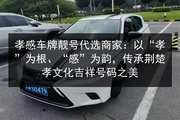 孝感车牌靓号代选商家:以“孝”为根、“感”为韵,传承荆楚孝文化吉祥号码之美 第2张 孝感车牌靓号代选商家:以“孝”为根、“感”为韵,传承荆楚孝文化吉祥号码之美 第2张