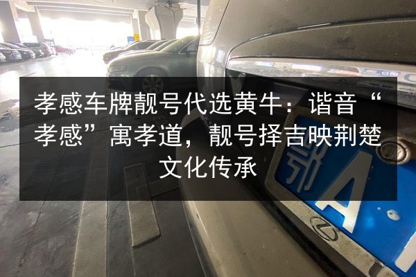 孝感车牌靓号代选黄牛:谐音“孝感”寓孝道,靓号择吉映荆楚文化传承 第2张 孝感车牌靓号代选黄牛:谐音“孝感”寓孝道,靓号择吉映荆楚文化传承 第2张