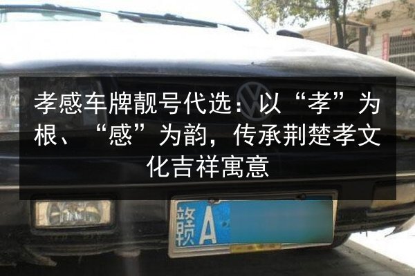 孝感车牌靓号代选:以“孝”为根、“感”为韵,传承荆楚孝文化吉祥寓意 第2张 孝感车牌靓号代选:以“孝”为根、“感”为韵,传承荆楚孝文化吉祥寓意 第2张
