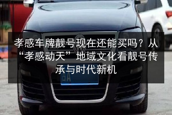 孝感车牌靓号现在还能买吗？从“孝感动天”地域文化看靓号传承与时代新机 第2张