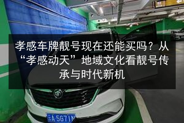 孝感车牌靓号现在还能买吗？从“孝感动天”地域文化看靓号传承与时代新机 第3张
