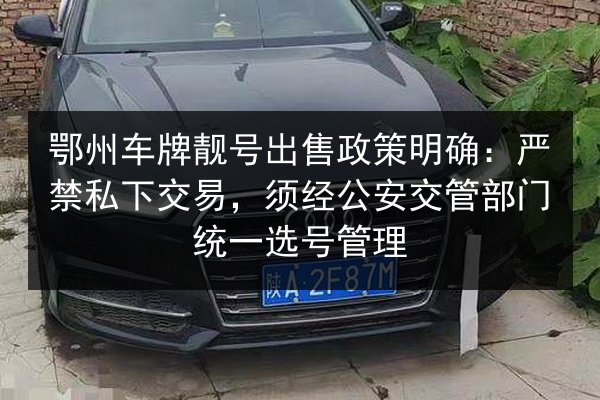 鄂州车牌靓号出售政策明确:严禁私下交易,须经公安交管部门统一选号管理 第2张 鄂州车牌靓号出售政策明确:严禁私下交易,须经公安交管部门统一选号管理 第2张