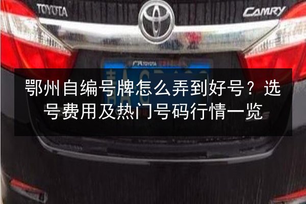 鄂州自编号牌怎么弄到好号？选号费用及热门号码行情一览 第2张