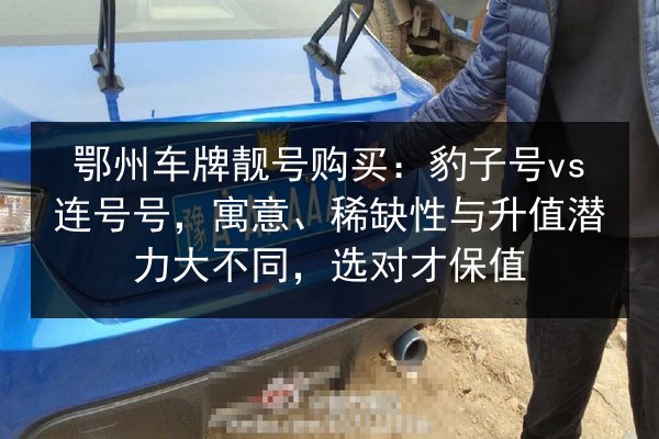 鄂州车牌靓号购买：豹子号vs连号号，寓意、稀缺性与升值潜力大不同，选对才保值 第2张