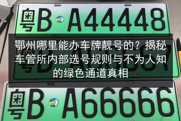 鄂州哪里能办车牌靓号的?揭秘车管所内部选号规则与不为人知的绿色通道真相 第3张 鄂州哪里能办车牌靓号的?揭秘车管所内部选号规则与不为人知的绿色通道真相 第3张