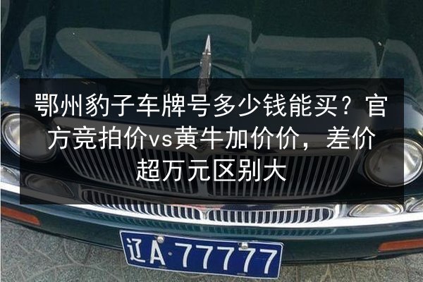鄂州豹子车牌号多少钱能买？官方竞拍价vs黄牛加价价，差价超万元区别大 第2张