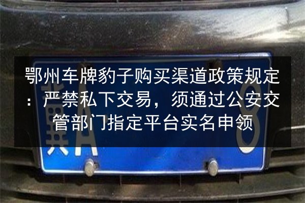 鄂州车牌豹子购买渠道政策规定：严禁私下交易，须通过公安交管部门指定平台实名申领 第2张