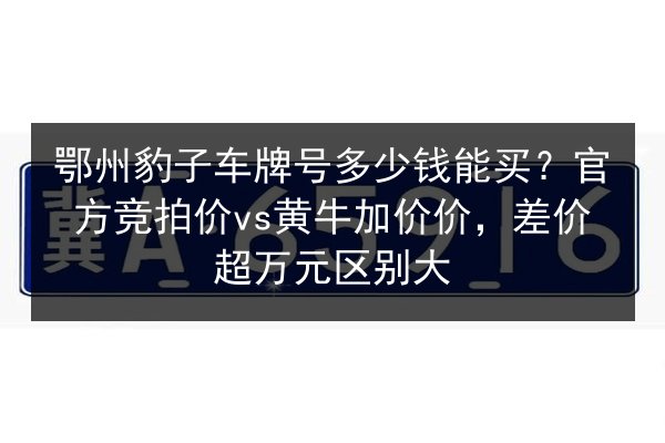 鄂州豹子车牌号多少钱能买？官方竞拍价vs黄牛加价价，差价超万元区别大 第3张