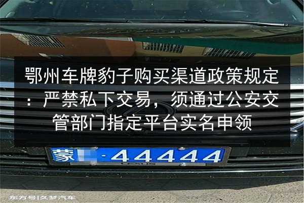 鄂州车牌豹子购买渠道政策规定：严禁私下交易，须通过公安交管部门指定平台实名申领 第3张