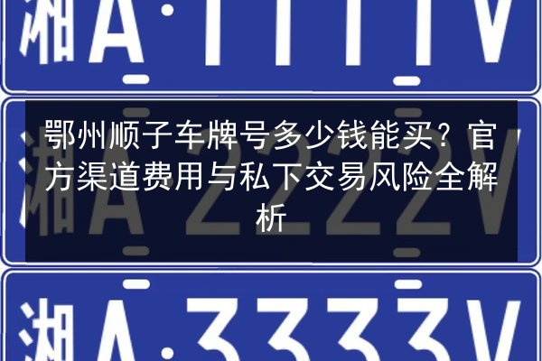 鄂州顺子车牌号多少钱能买？官方渠道费用与私下交易风险全解析 第3张