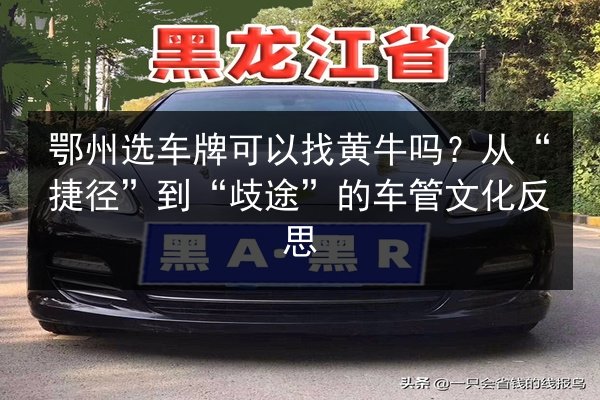 鄂州选车牌可以找黄牛吗？从“捷径”到“歧途”的车管文化反思 第2张