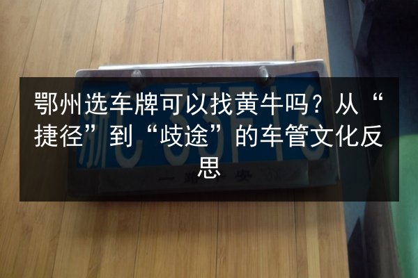 鄂州选车牌可以找黄牛吗？从“捷径”到“歧途”的车管文化反思 第3张