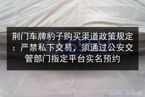 荆门车牌豹子购买渠道政策规定：严禁私下交易，须通过公安交管部门指定平台实名预约 第2张