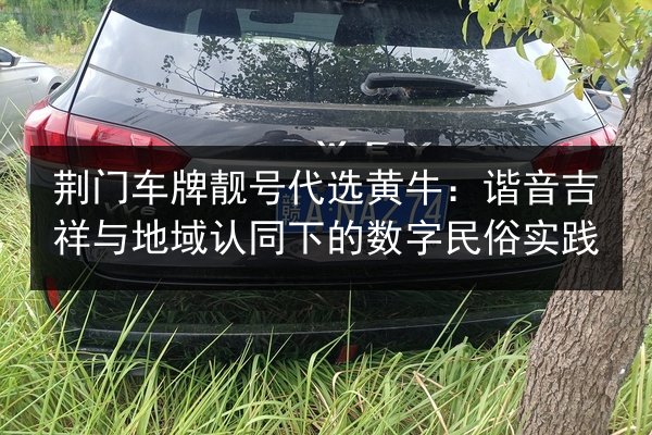 荆门车牌靓号代选黄牛:谐音吉祥与地域认同下的数字民俗实践 第3张 荆门车牌靓号代选黄牛:谐音吉祥与地域认同下的数字民俗实践 第3张