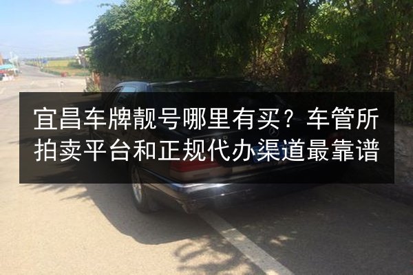 宜昌车牌靓号哪里有买？车管所拍卖平台和正规代办渠道最靠谱 第2张
