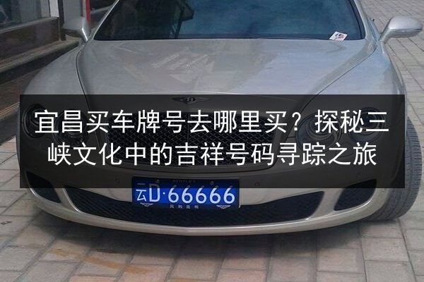 宜昌买车牌号去哪里买？探秘三峡文化中的吉祥号码寻踪之旅 第2张